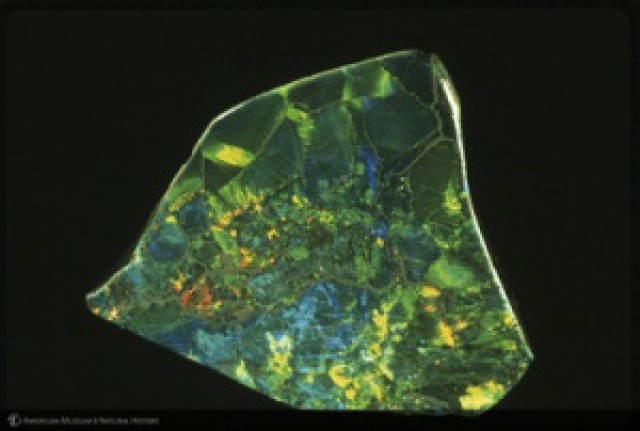 Olympic Australis Opal