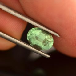 1.56cts Minty Green Tourmaline