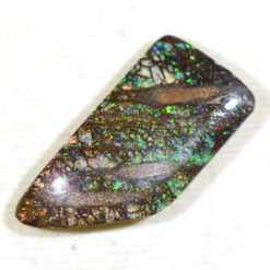 16.83cts Boulder Opal Wood Fossil | Chroma Gems & Co
