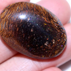 43.51cts Yowah Boulder Opal