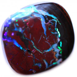 24.53cts Koroit Boulder Opal