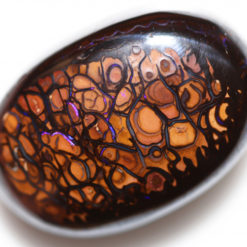 58.03cts Yowah Boulder Opal