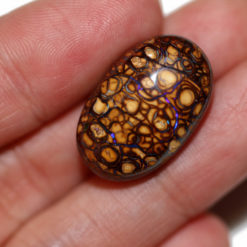 20.5cts Yowah Boulder Opal